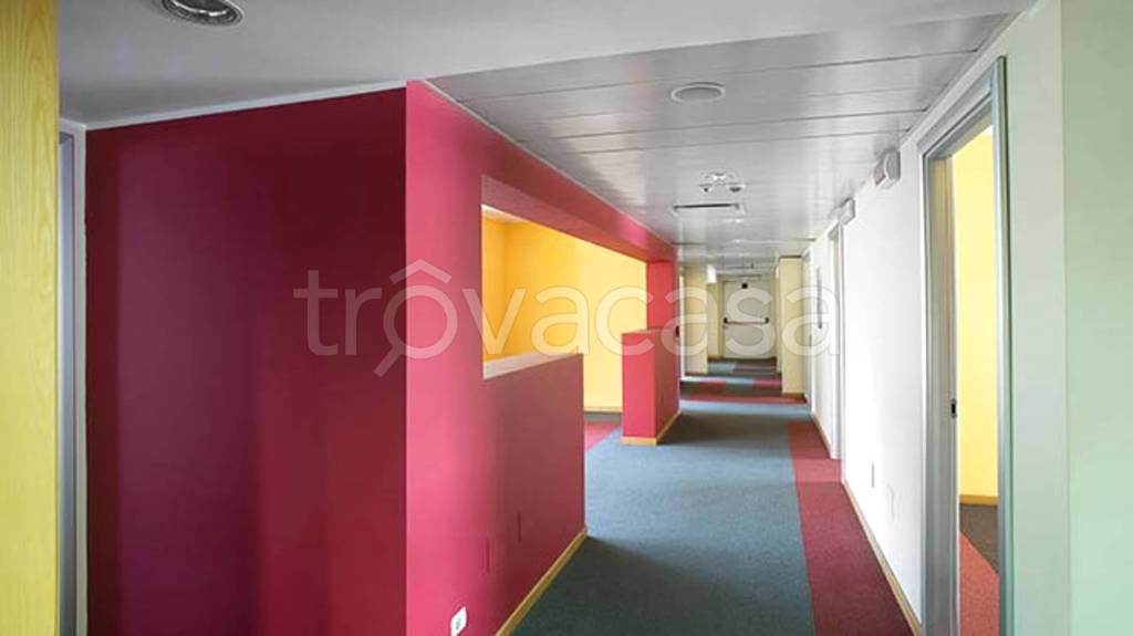 immagine annuncio 13 di 14