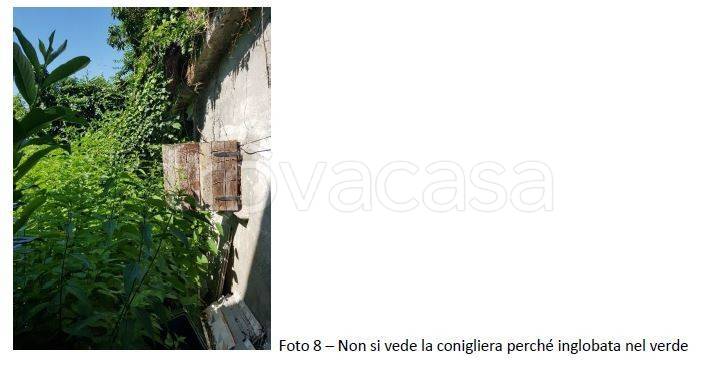 immagine annuncio 6 di 11