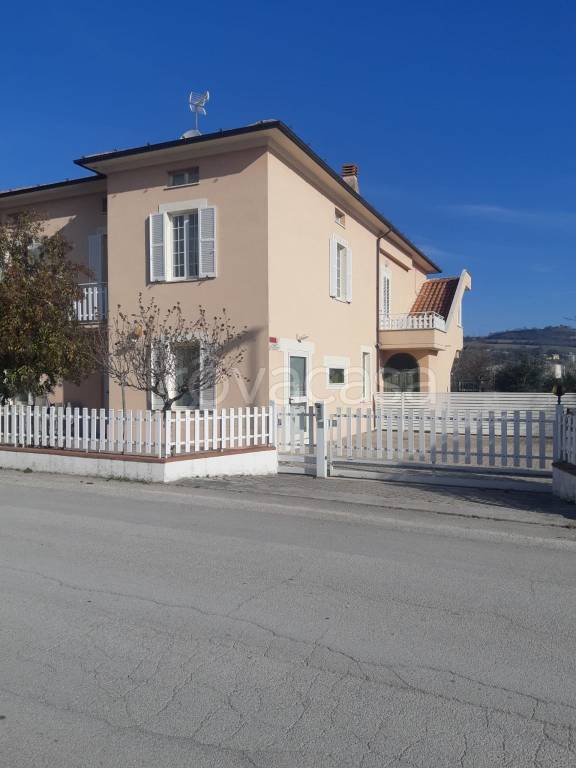 immagine annuncio 3 di 14