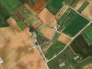 Terreno agricolo in vendita a nardò strada rosario