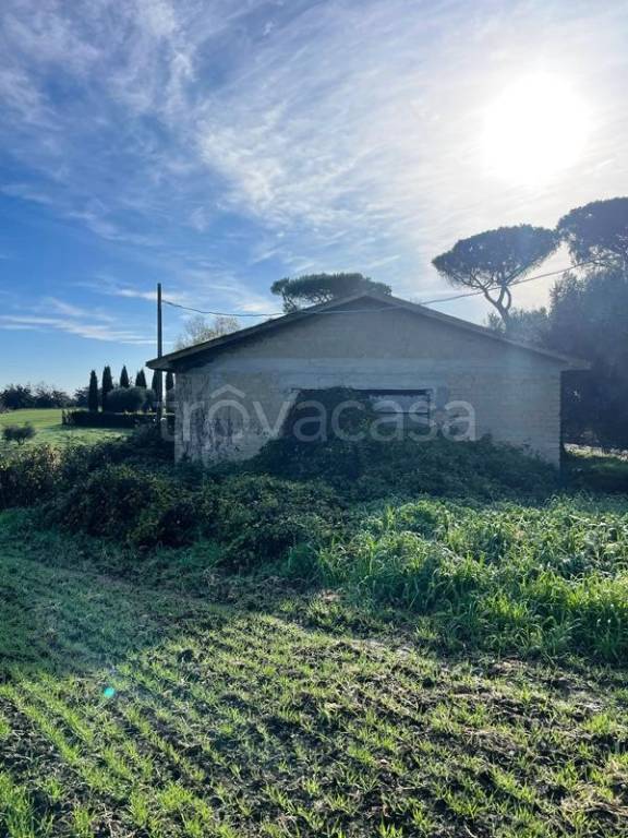 immagine annuncio 1 di 8