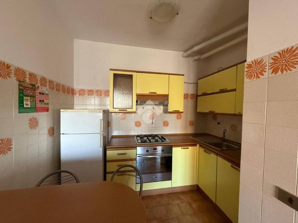 immagine annuncio 3 di 14