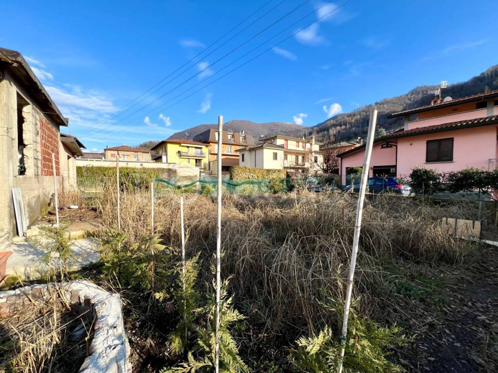 immagine annuncio 5 di 15