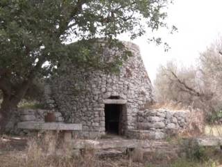 Terreno agricolo in vendita a castrignano del capo via ofanto