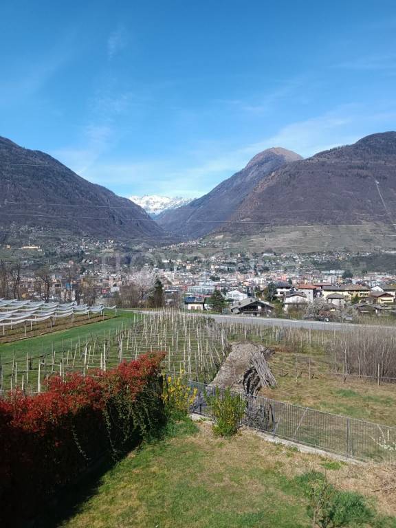immagine annuncio 5 di 9