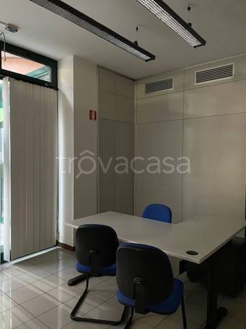 immagine annuncio 6 di 11