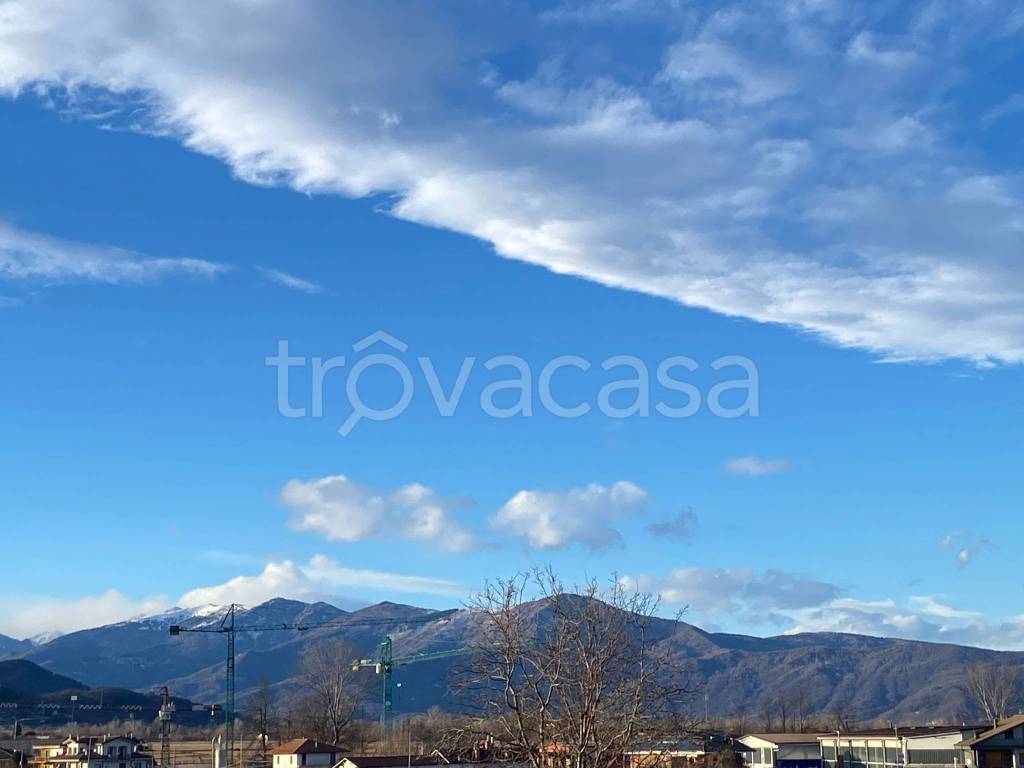 immagine annuncio 7 di 8