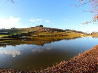 Azienda agricola in vendita a carpeneto località mardelloro