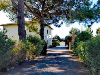 Bed & breakfast in vendita a orbetello strada vicinale dei pinalti