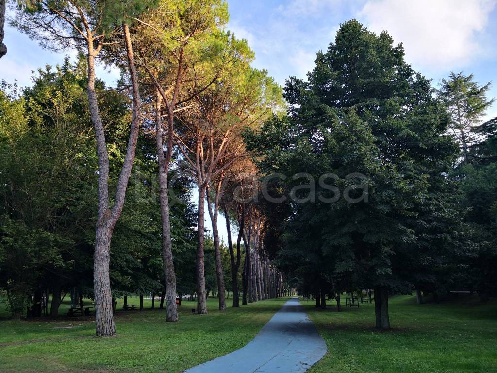immagine annuncio 6 di 9