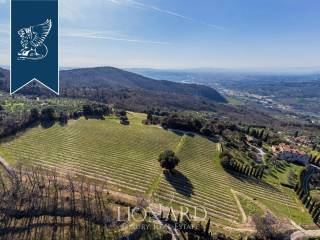 Azienda agricola in vendita a bagno a ripoli 