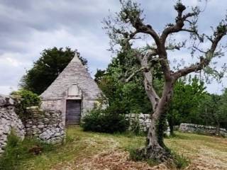 Terreno residenziale in vendita ad alberobello contrada malvischi