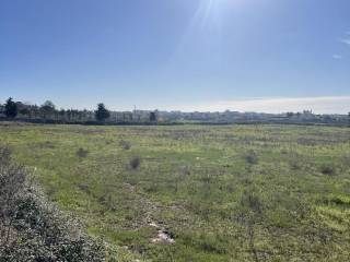 Terreno agricolo in vendita a lecce via sandalo