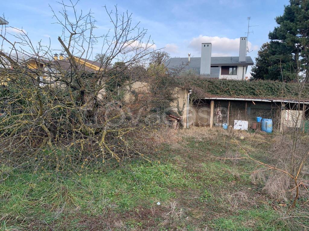 immagine annuncio 10 di 15