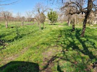 Terreno agricolo in vendita a qualiano 