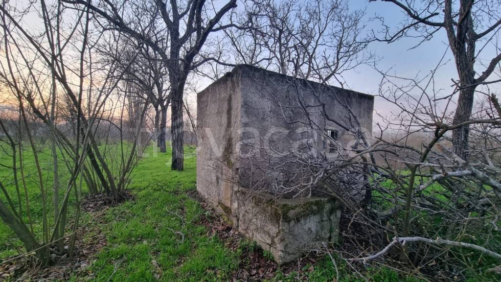 immagine annuncio 1 di 6