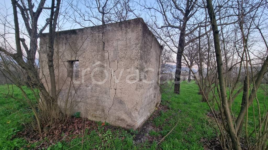 immagine annuncio 4 di 6