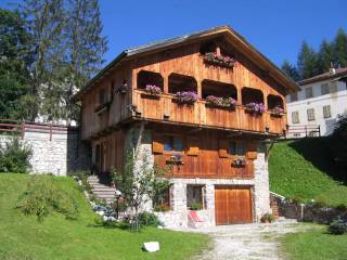 Villa in vendita a selva di cadore 