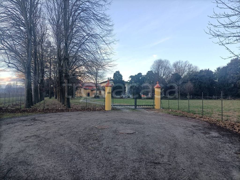 immagine annuncio 2 di 9