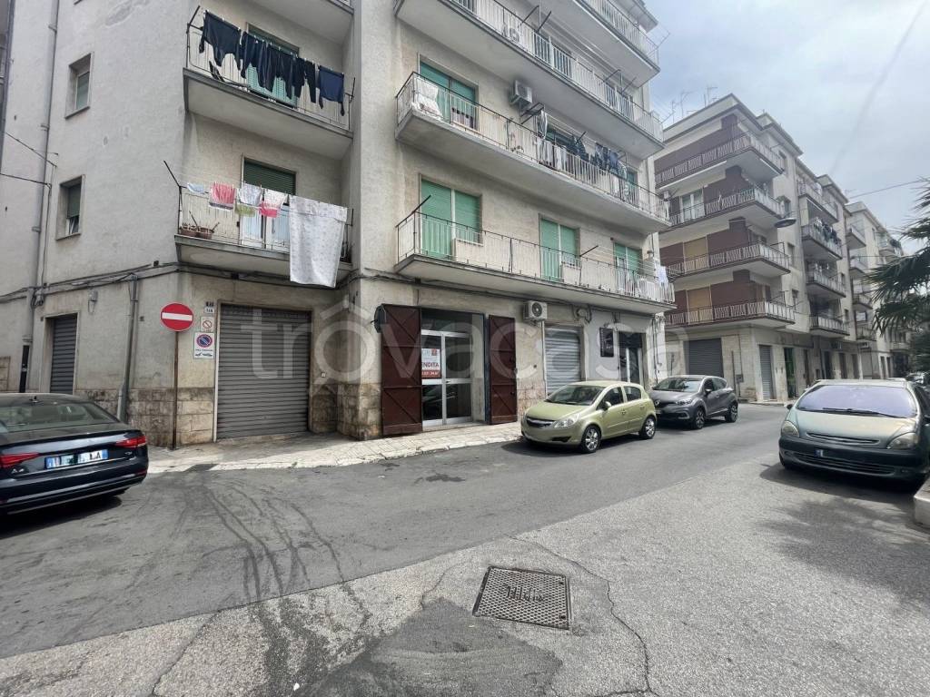 immagine annuncio 12 di 14