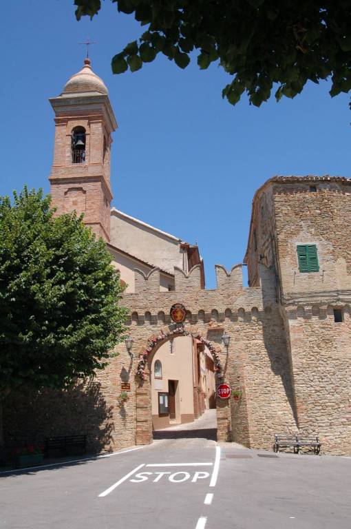 immagine annuncio 3 di 6