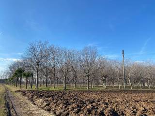 Terreno agricolo in vendita a rosà via brega, 158