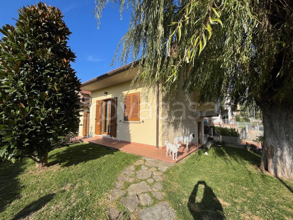 immagine annuncio 11 di 15