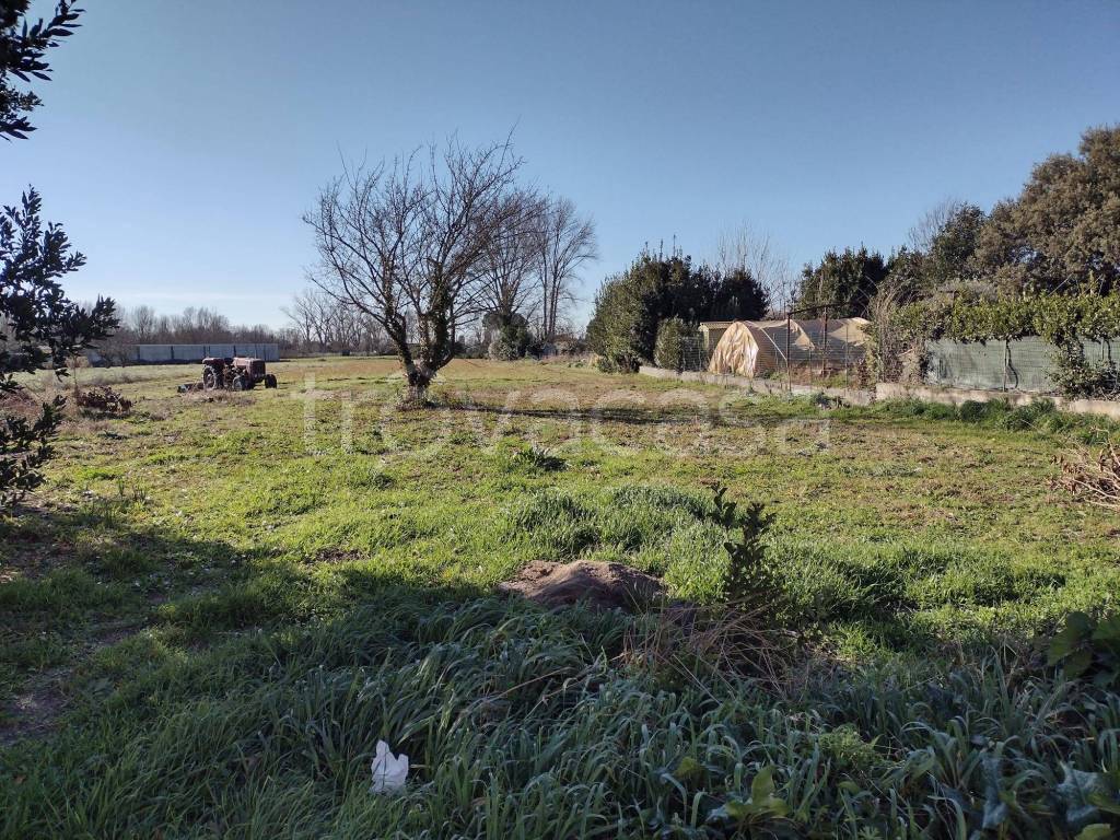 immagine annuncio 10 di 11