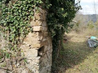 Terreno agricolo in vendita a torchiara via san berardino