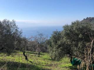 Terreno agricolo in vendita a san mauro cilento via serra