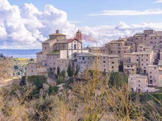 Appartamento in vendita a grotte di castro via del progresso, 44