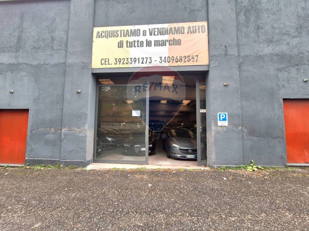 immagine annuncio 5 di 15