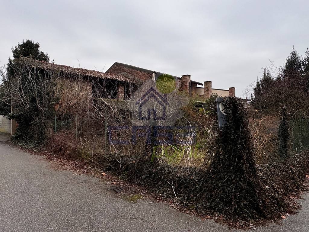 immagine annuncio 3 di 11