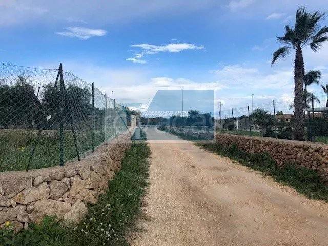 immagine annuncio 4 di 6