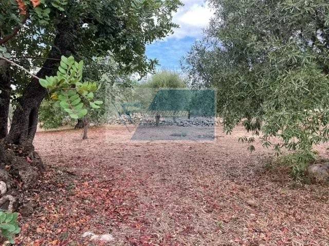 immagine annuncio 7 di 8