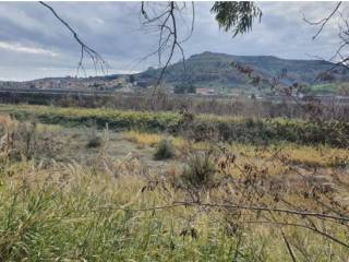 Terreno agricolo all'asta a tiriolo 88056 guidacciari cz, italia