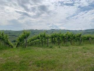 Terreno agricolo all'asta a santa maria della versa 