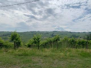 Terreno agricolo all'asta a santa maria della versa 