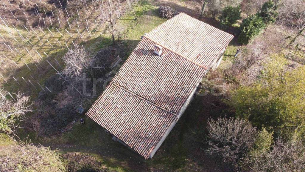 immagine annuncio 3 di 7