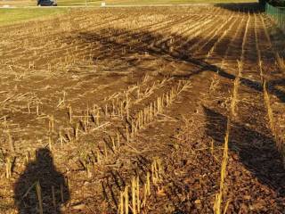 Terreno agricolo in vendita a vedano olona via venegono