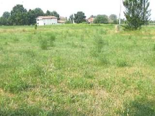 Terreno agricolo all'asta a medolla via statale