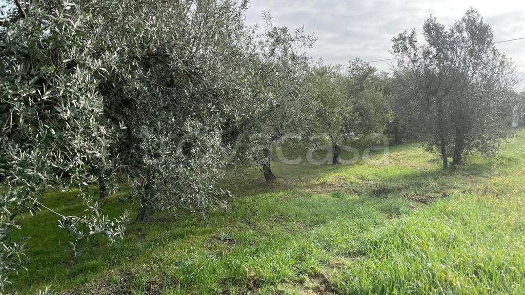 immagine annuncio 1 di 7