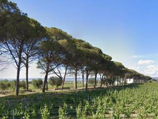 Terreno agricolo in vendita a grottaglie strada comunale esterna misicuro