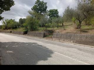 Terreno agricolo in vendita a isernia strada provinciale isernia