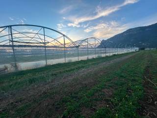 Terreno agricolo in vendita a terracina strada sant'eleuterio