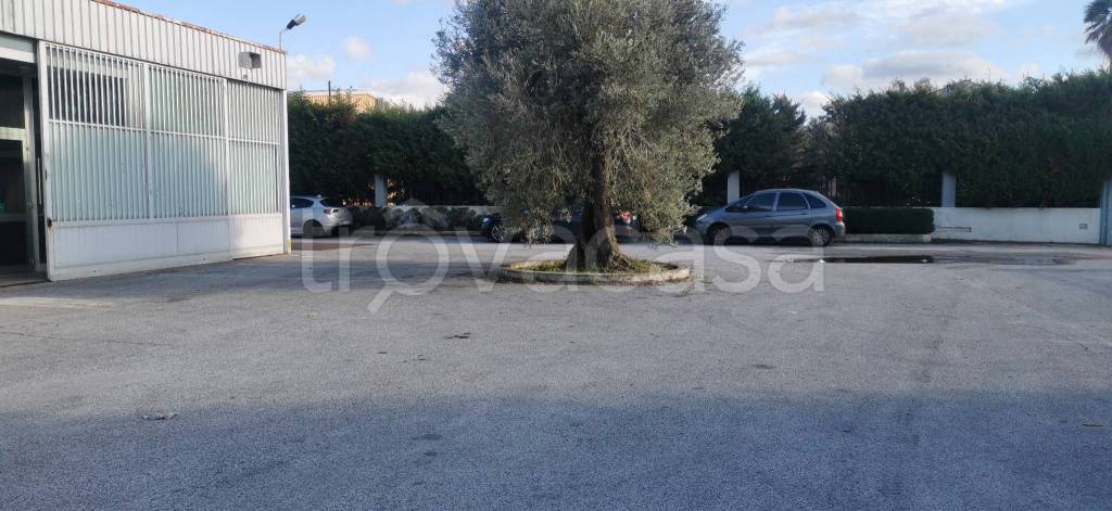immagine annuncio 6 di 9