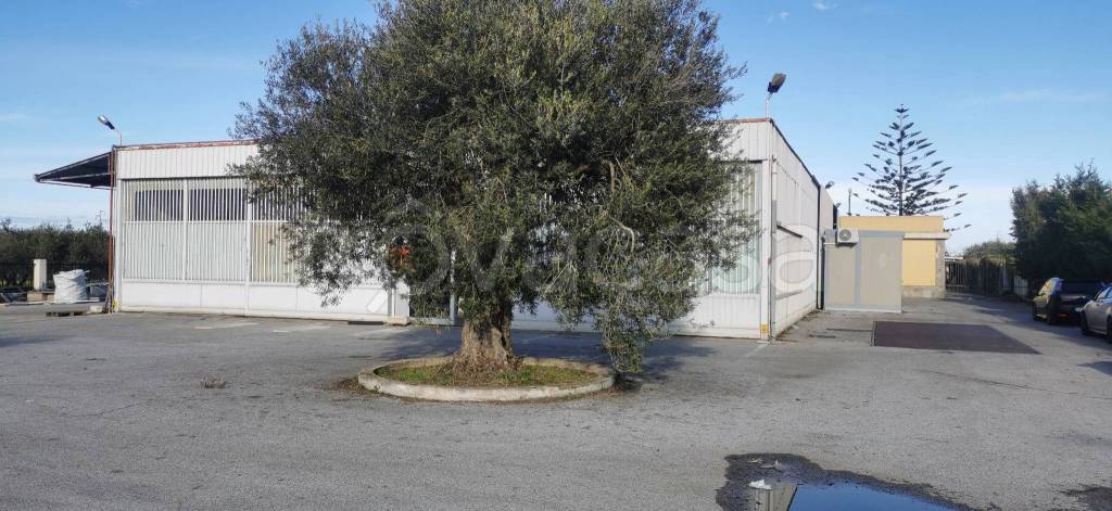 immagine annuncio 7 di 9