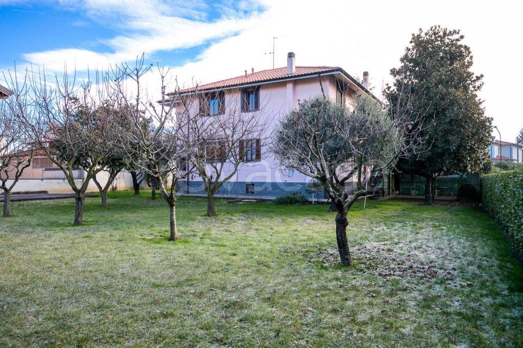 immagine annuncio 5 di 15