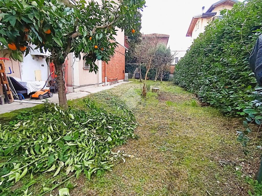 immagine annuncio 1 di 15