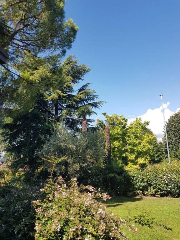 immagine annuncio 1 di 8